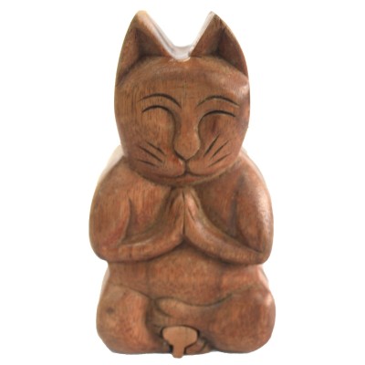 Magische Boxen Bali – Yoga-Katze