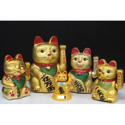 Chinesische Katze – Klassiker