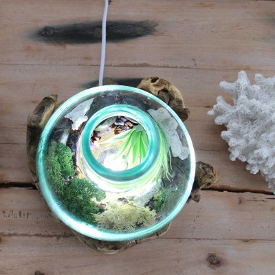 Geschmolzenes Glas auf Holz – Große Schüssel – Beleuchtet – 30 cm